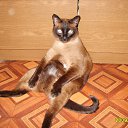 ���� Vitalik, �����-��������� - ��������� 22 ��� 2010 � ������ ���������� ������