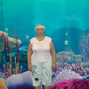 ���� �������, �����, 67 ��� - ��������� 6 ���� 2012 � ������ ���� ����������