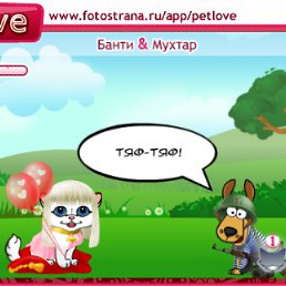 ���� �������� ����������, ������ - ��������� 21 �������� 2010