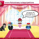 ���� �����, ������, 59 ��� - ��������� 17 ������� 2011 � ������ �PetLove�