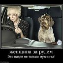  , , 85  -  8  2011   PetLove