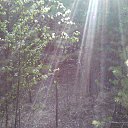 ���� �������� ��������, �����-��������, 51 ��� - ��������� 18 ������ 2013 � ������ ��Ψ ������Ż