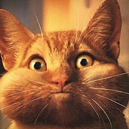 ���� ������, ���������� - ��������� 10 ������ 2012