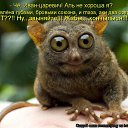 ���� ���������, �����-���������, 67 ��� - ��������� 8 ������� 2012