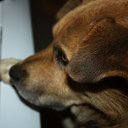 ���� ��������, ������-��-���� - ��������� 5 ������� 2013 � ������ ���� ����������