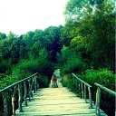 ���� Svitlana, ����� - ��������� 11 ������� 2012 � ������ ���� ����������