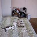 ���� ���������, ������, 44 ���� - ��������� 28 ������� 2009 � ������ �SUSANNA�
