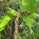 ��� ��� ������ ������. �� ������� ������. �������.�