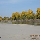 ���� ����, �������, 38 ��� - ��������� 15 ����� 2011 � ������ �������