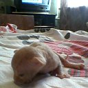 ���� �������, ���������� ����� - ��������� 5 ������ 2013 � ������ �������