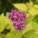 ���� ������, ������, 35 ��� - ��������� 14 ������ 2012