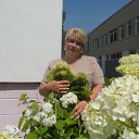 ���� �������, ������� - ��������� 18 ������ 2013 � ������ ���� ����������