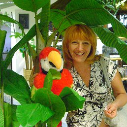 ���� �������, �����������, 59 ��� - ��������� 4 ���� 2013