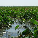 ���� �������, �����-��������� - ��������� 28 �������� 2012 � ������ ���� ����������