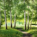 �. ������ ���. ���. ������ �� ������� �������