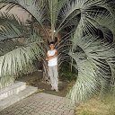 ���� ������, ���������, 47 ��� - ��������� 9 ���� 2012 � ������ ���� ����������