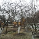 ���� ����, ������, 41 ��� - ��������� 9 ��� 2011 � ������ �����