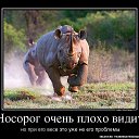 ���� ������, �����������-��-�����, 53 ���� - ��������� 21 ������ 2013