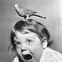 ���� �����, ��������, 45 ��� - ��������� 22 ������ 2011 � ������ ���� ����������