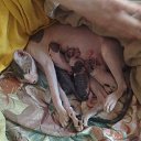  ,  -  6  2012   ,   .