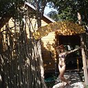 ����"������" �� ������� ���� ����������