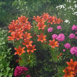 ���� ����, ����������� - ��������� 8 ���� 2010