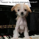 ���� �����, ������������ - ��������� 17 ���� 2010 � ������ ��������