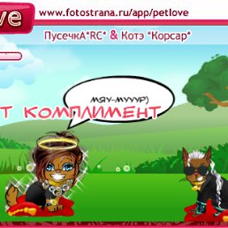 ���� ������, �����������, 38 ��� - ��������� 24 ������ 2010