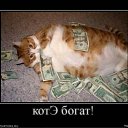 ���� ���������, �����-���������, 83 ���� - ��������� 1 ���� 2011 � ������ ������������� � �����������