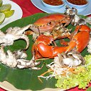 ���� �������, ������, 49 ��� - ��������� 21 ������ 2011