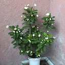   - , , 65  -  27  2012   