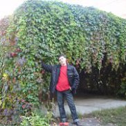 ����, 38 ���, �����