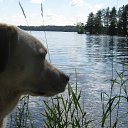 ���� ��������, ��� - ��������� 28 ������� 2012 � ������ ����������. ������. ����� ������� ����� � ���������-������