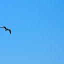 ���� ������, ������ - ��������� 20 ���� 2012 � ������ �������