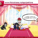  , -, 37  -  16  2011   PetLove