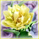 ���� ����. ��������� �� ��!, ������, 72 ���� - ��������� 15 ������ 2012 � ������ ���������