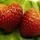 ���� �����, ��������������, 27 ��� - ��������� 31 ������� 2009