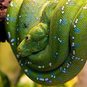 ���� ������, ������� - ��������� 20 ������� 2012 � ������ ������ ��������