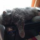 ������� ����� ���,����� � �� ������=) �� ������� �������