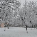 ���� �����, ����������� - ��������� 11 ������ 2012