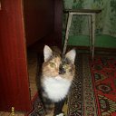 ���� ���, ����� - ��������� 4 �������� 2011 � ������ ���� �����