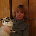 ���� �������, ���������, 51 ��� - ��������� 14 ��� 2012 � ������ ���� ����������