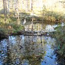 ���� ������, ���������, 62 ���� - ��������� 17 ��� 2011 � ������ �������