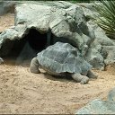 ���� ����, ����, 57 ��� - ��������� 21 �������� 2012 � ������ ������� ���� �������