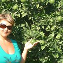 ���� ������, ����������, 52 ���� - ��������� 26 ����� 2012