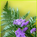 ���� ����. ��������� �� ��!, ������, 72 ���� - ��������� 15 ������ 2012 � ������ ���������