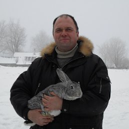 ���� ���, ������, 59 ��� - ��������� 29 ����� 2013