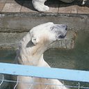 ���� ������� �����, ����������� - ��������� 29 ���� 2011 � ������ �������