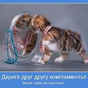 ����� ����� ��� ������������! :)))))))))))))))) �� ������� ���� ����������