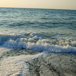 ���� ��������, ������, 46 ��� - ��������� 13 ��� 2011